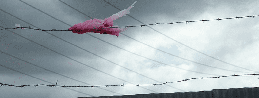 Polybags and Single-Use Plastics