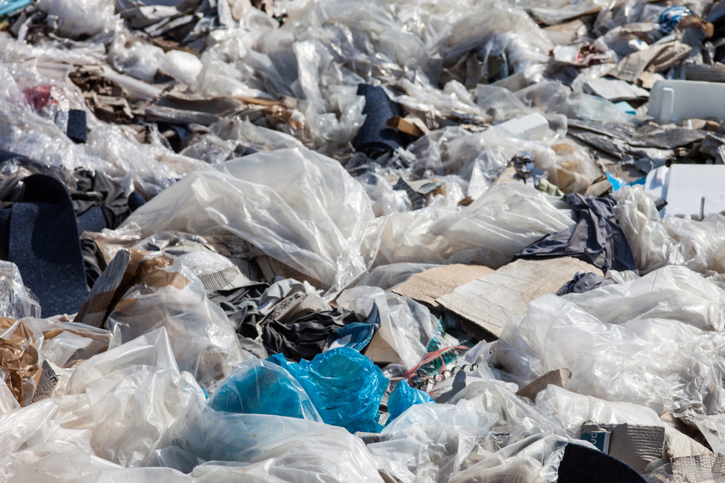eliminate the use of single-use plastic bags