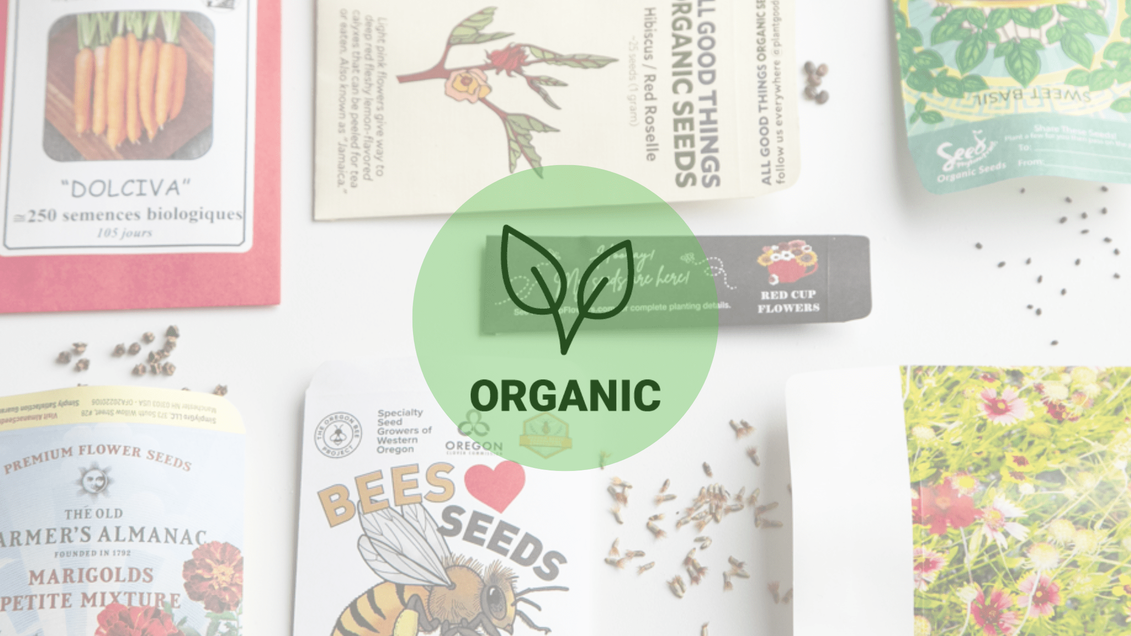 Organic Seeds Certification