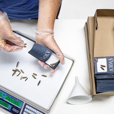 Image for choice number 2